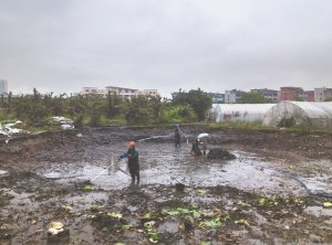 吉安河道鱼塘清淤